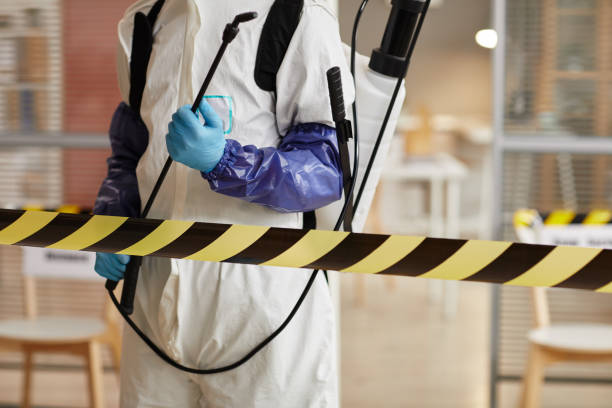 Professional Odor Removal technician working in Bellaire, OH